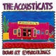 The Acousticats - Down At Evangelina's